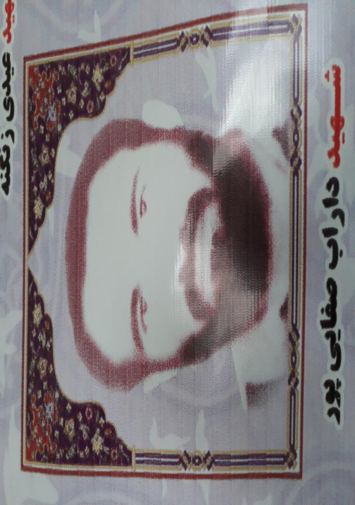 فاقد تصویر